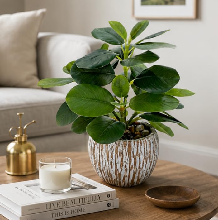Artificial Potted Plants Life-Like Fake Plant with Farmhouse-Style Cement Planter Feturing Light Wood Tone for Room Bathroom Bedroom Kitchen Office Dese Coffee Table Décor (9inch) - size: Ficus 9inch