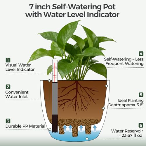 T4U Self Watering Pots for Indoor Plants, 7 Inch Self Watering Planters with Water Level Indicator, Bottom Watering African Violet Pots for Beginners & Busy Plant Owners, BPA-Free (2 Pack, White)