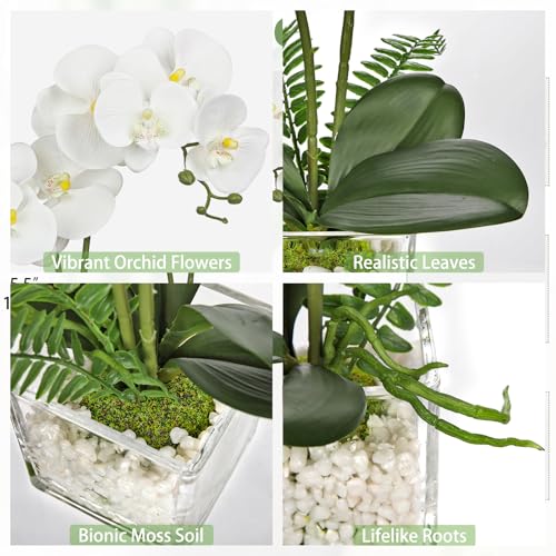 White Orchids Artificial Flowers 16.1" Faux Orchids Plant in Pot Fake Flower Arrangements with Glass Vases Small White Centerpieces for Kitchen Dining Room Tables Bathroom Nightstand Shelf Desk Decor - color: White Orchid &White Stones