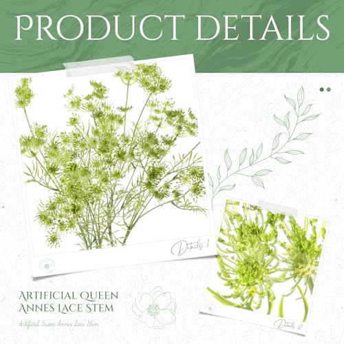 4 Pcs Artificial Queen Anne's Lace Stems 28.7 Inch Faux Ammi Majus Flowers Branches Faux Queen Anne's Lace Flowers Fake Carrot Floral Stems for Vase Bouquets Wedding Home Decor(Green) - color: Green