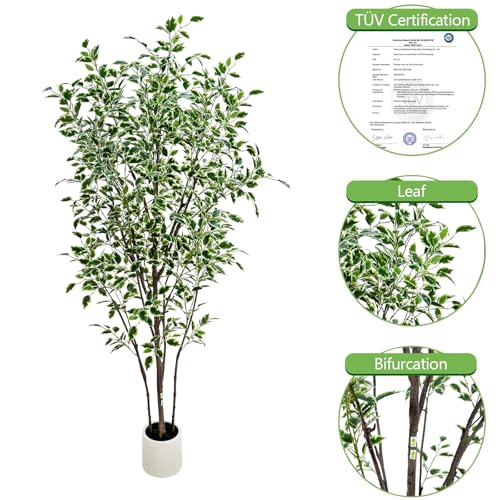 6ft Artificial Ficus Tree with White Plastic Planter | Foliage: Designed with natural green and white variegated leaves for lifelike indoor landscape decoration - color: White, size: 6ft