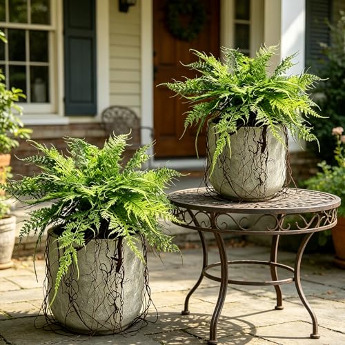 Hrobek 2 Pack Ferns Artificial Hanging Plants for Outdoor Fake Faux Fern Plants with Roots, UV Resistant Greenery Plants for Indoor Home Patio Porch Decor - color: Asparagus Fern