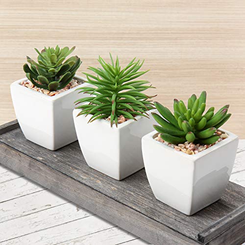 Hollyone Small Faux Succulents in White Ceramic Pot 3Pcs Artificial Succulents Fake Plant Gifts Home Decor Accents Centerpieces Bathroom Decor Mum Gifts Greenery Decoration Succulents Wedding - color: 3pack - White Ceramic 2