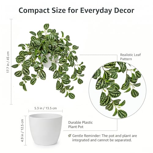 Briful Faux Plant Indoor, 17.7" Artificial Watermelon Peperomia Trailing Plant in White Plastic Pot, Realistic Fake Cascading Greenery for Cabinet Shelf Bathroom Office Table Home Kitchen Decor - color: Forest Green Variegated