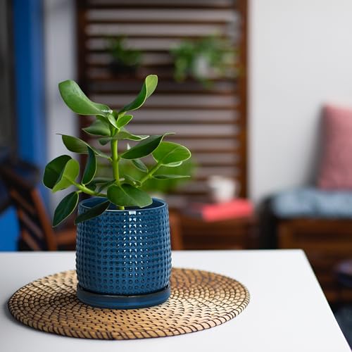 D'vine Dev 4 Inch Ceramic Beaded Stoneware Planter Pot - Flower Pot with Drainage Holes and Saucers for Indoor Succulent Plants or Flowers, Midnight Blue, 27-C-Z-3 - color: Midnight Blue, size: 4.3 Inch