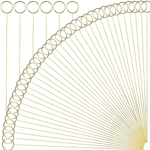 H&W 12''L Golden Ring Loop Round Shape Card Holders 40PCS Floral Picks Clips for Wedding & Flower Arrangements, DIY Craft Wire Clip Table Card Holders Note Photo Picture Memo Holder Cake Topper (Ring) - color: Ring
