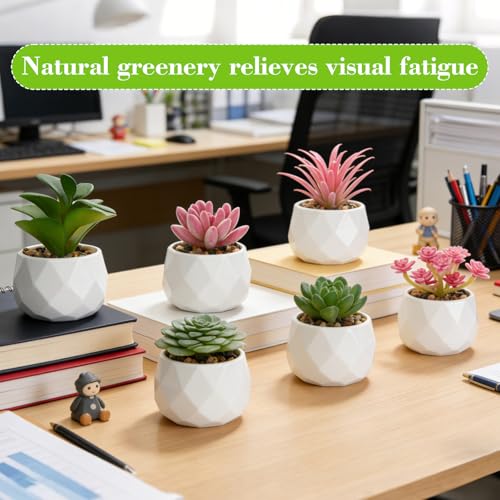 Artificial Succulents, Set of 6, White Plastic Pots | Small Fake Desk Plants, Realistic Succulent Plants, For Shelf Bedroom Balcony Windowsills Office Room Decor