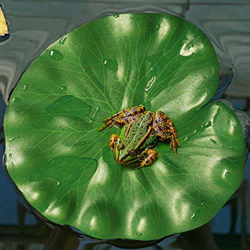 AIQINHU 10 Pcs Artificial Lily Pads for Pond Pool, 5 Sizes Realistic Floating Foam Lotus Leaves, Large Plastic Water Lily Pads Leaves for Pond Pool Fountain Garden Decoration - color: Artificial Lily Pads