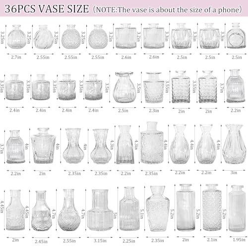 36Pcs Bud Vases Set Small Vintage Glass Bottles Clear Bud Vases in Bulk Multiple Shape Cute Glass Vases for Rustic Wedding Centerpieces Table Decorations and Home Decor(Clear) - color: Clear