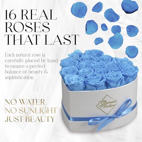 GLAMOUR BOUTIQUE Preserved Roses in a Box - Gifts for Her, Wife & Mom, Rose Flowers Forever Decor for Birthday Gift, Get Well Flower Bouquet Cased in White Box with Cover - Teal - 16 (Color-Treated) - color: Teal, size: 16 Roses Heart Box