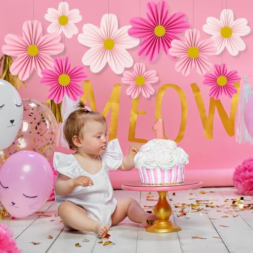 YUNXUAN Pink Party Decorations Paper Fan Paper Flowers Decorations for Wall Flower Backdrop Classroom Baby Shower Birthday Flower Wall Decor Pack of 9 Pink - color: Pink