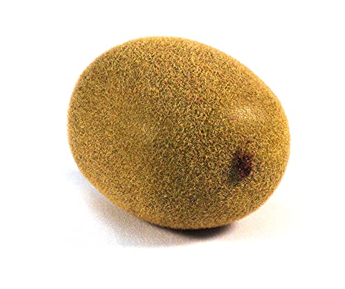 Vasefill 6-Pack Artificial Kiwi Round Plastic Kiwifruit Fruit Six Pieces Fake - color: Kiwi