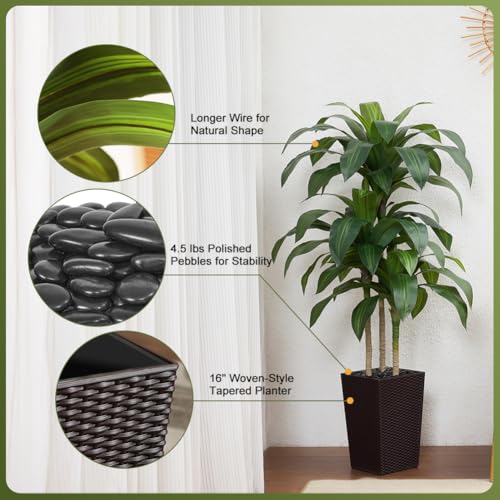VeriNatural 5FT Artificial Dracaena Tree - UV Resistant Faux Tropical Plant, Potted Fake Tree with Taper Planter & Pebbles - Indoor Outdoor Greenery for Home, Porch, Living Room, Bedroom Decor, VN127 - color: Espresso Brown, size: 5ft