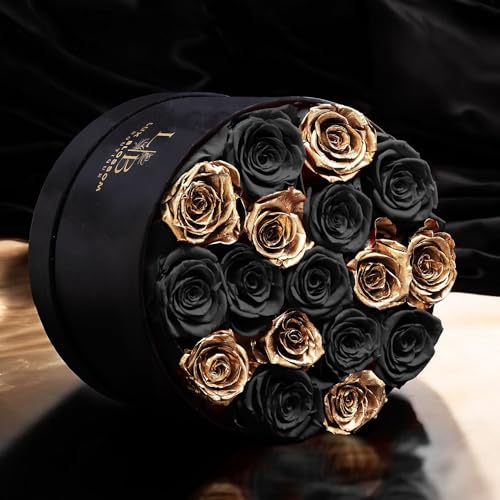 17 Black & Gold Forever Roses, Velvet Box - Luxury Black Roses, Graduation Flowers, Golden Roses, Preserved Rose Gifts for Women, Flowers for Teacher, Black Roses for Delivery Prime