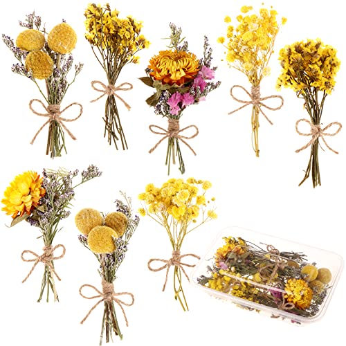 8 Pcs Mini Gypsophila Bouquets Natural Gypsophila Yellow Dried Flowers Bouquet Dry Flower&Leaves Daisy Dried Embossing Flower Bundles Plant Stem Bunch for DIY Craft,Photo Props,Wedding Card Decoration - color: Type6