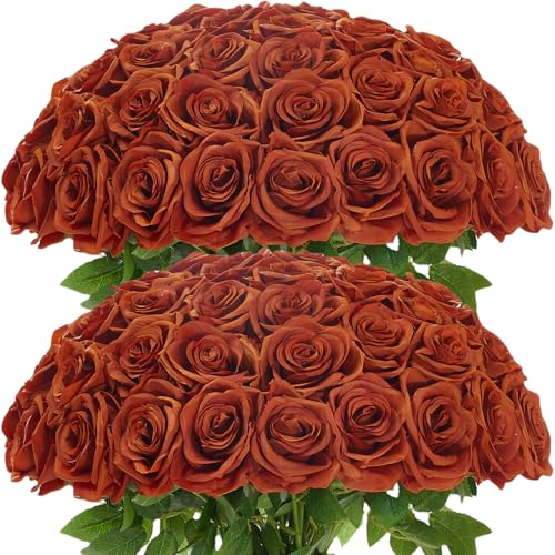 50Pcs Burnt Orange Roses Artificial Flowers Artificial Silk Roses Bulk,Fake Roses Flower with Stems Realistic Flowers for Wedding Centerpiece Home Party Decor - color: Burntorange