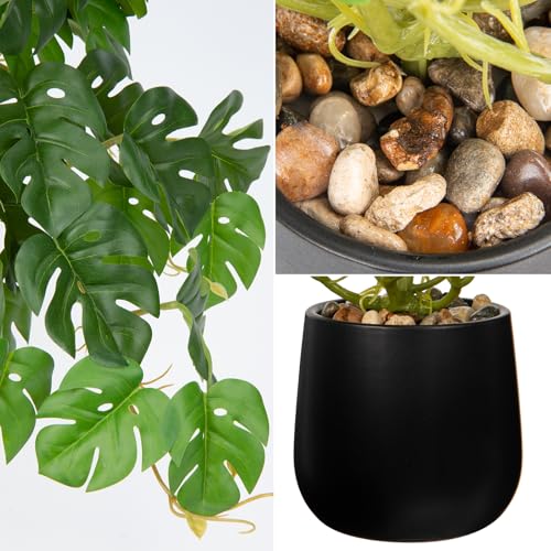 DILATATA Fake Plants Indoor 8 Inch Artificial Monstera Plant in Black Ceramic Pot - Faux Potted Tropical Palm Plant for Home Aesthetic Decor Living Room Shelf Office - color: Monstera #Ceramic