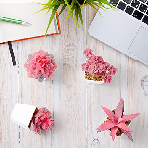 18 Set Artificial Faux Succulents in Pots Artificial Succulent Plant for Women Assorted Decorative Small Fake Plant Potted Faux Cactus Plant for Shelf Desk Room Bedroom Bathroom Office Decor (Cute)