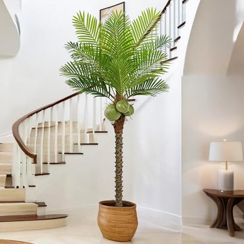 Roselywed Artificial Phoenix Palm Tree 6.5FT with 12 Leaves & 3 Coconut Fruit & Real Bark Tropical Areca Sago Palm Tall Large Faux Plant 78 Inch Black Pot for Indoor Outdoor Home Poolside Mall Decor - size: 6ft 6in
