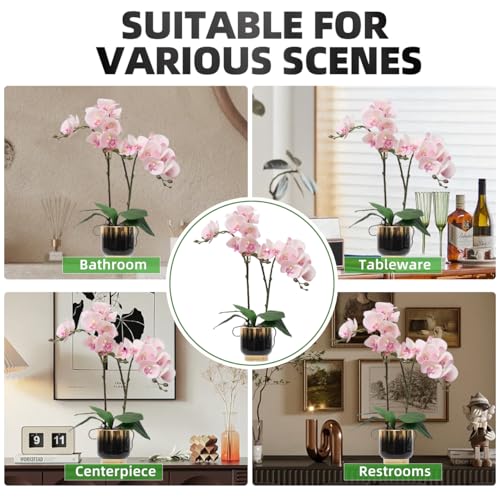 CXGS Orchids Artificial Flowers Real Touch Fake Flowers in Ceramic Pot 20" Pink Faux Orchid Plant Lifelike Silk Phalaenopsis for Centerpiece Hotel Home Indoor Decor - color: Pink- Black Gold Vase