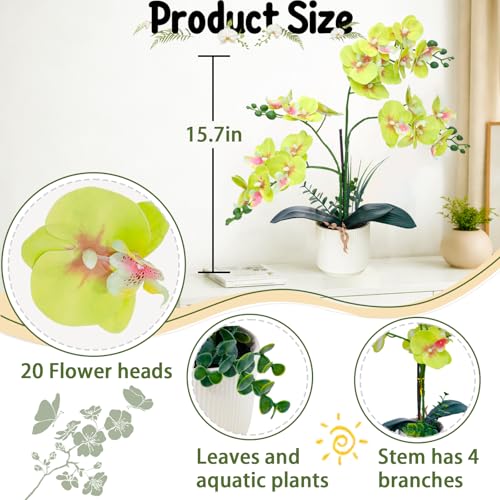 ucky Apple Green 15.7" 3D Lifelike Artificial Orchid Plant with 20 Heads, Realistic Faux Phalaenopsis in Ceramic Pot for Home Decor, Elegant Fake Flower Arrangement Table Centerpiece - color: Apple Green