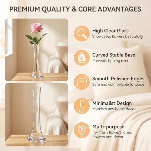 25CM Tall Glass Flower Bud Vase Single Stem Decorative Vase Narrow Bud Vase Table Centrepiece for Wedding Living Room Table Home Decoration(Transparent)