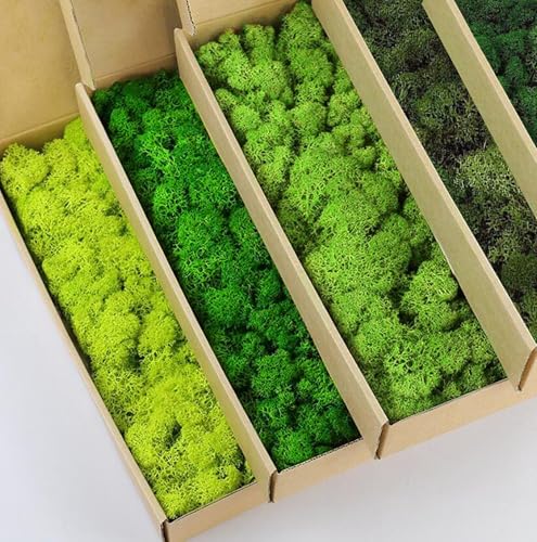 Preserved Reindeer Moss Natural Green DIY Kit Gardenning Art Wall Decor Florist Decor Easter Table Decor Wedding - color: Color Mix-Green-(01+02+03+06+12), size: 1 lb