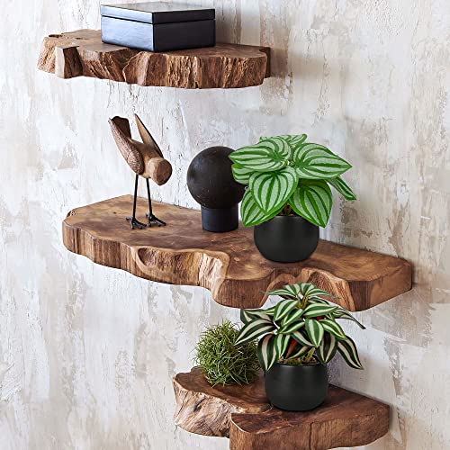 Briful 3PCS Fake Plants Potted Artificial Plants Mini Faux Plants in Black Ceramic Pots Greenery Décor for Home Office Table Room Farmhouse Indoor Decoration - color: Type#1