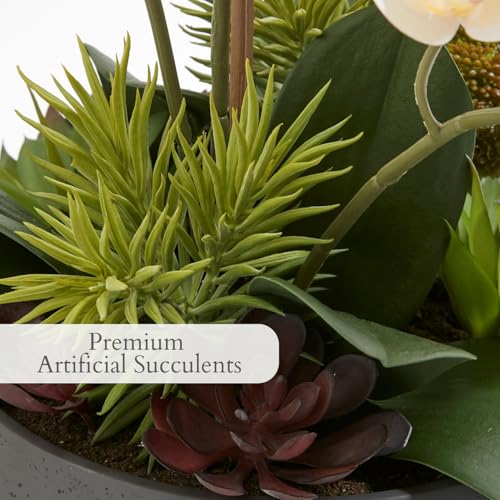 CG Hunter Faux Orchid Plant w/Succulents, Premium Artificial Indoor Flower Display Stands 24” w/Beautiful Sculptural Blooms and Succulents That Lasts Forever, Grey Planter Pot Included - size: 24" White Orchid With Succulents