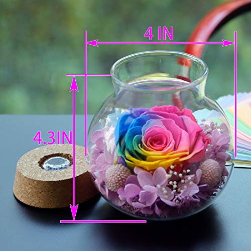Preserved Real Roses with Colorful Mood Light Wishing Bottle,Eternal Rose，Never Withered Flowers,for Bedroom Party Table Decor, Christmas Anniversary,Valentine's,Mother's Day, (Multi) - color: Multi Color
