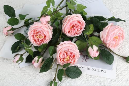 Real Touch Pink Austin Roses Peonies Artificial Flowers 4 Bouquets Latex Fake Peonies with Long Stem Realistic Faux Peonies Flower for Wedding Party Home Table Centerpieces Decorations (Pink) - color: Pink