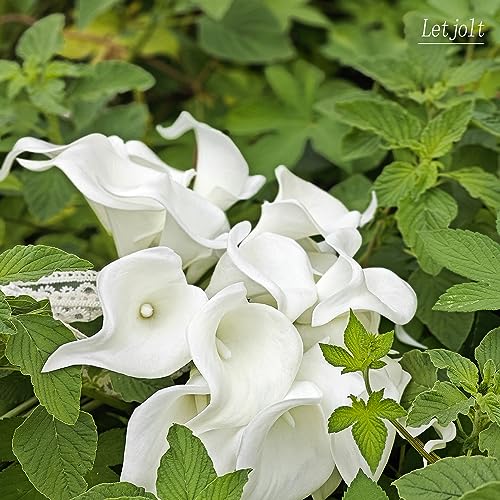 Letjolt White Calla Lily Artificial Flowers 20 Pieces Bouquet | Wedding Bouquet, Bride Shower Gift, Home Decoration, Faux Calla Lilies - color: White