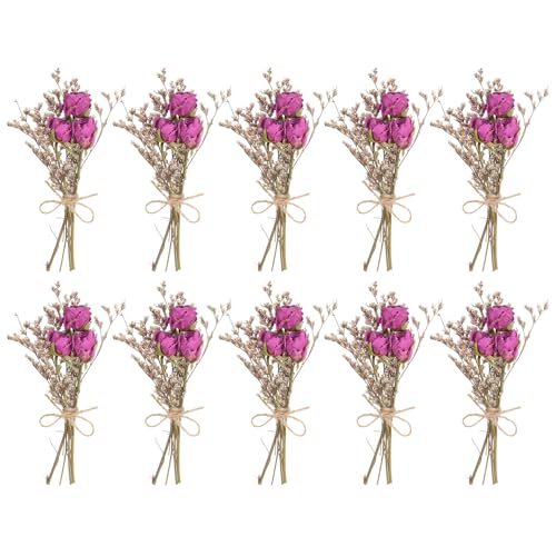 PATIKIL Mini Dried Flower Bouquet, 10 Pcs Rose Natural Wildflower with Stem Decor Baby's Breath Boho Floral Plant Flower for Crafts DIY Photo Props Gift Wedding Decor, Rose Red - color: Rose Red