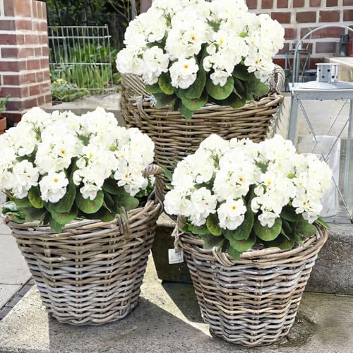 CITYES 8 Pcs Artificial Geraniums Flowers White Silk Geraniums for Outdoors UV Resistant Artificial Geranium Bush Faux Flowers Plant for Garden Home Decor Indoor Patio Vase Table Centerpiece - color: White