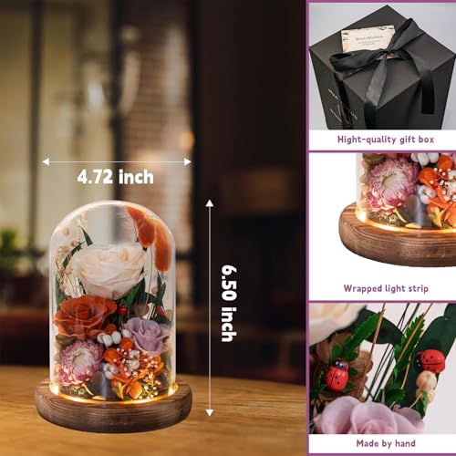 Forever Flower Gifts for Her:Perfect Graduation Flowers for Daughter Wife Mom-Preserved Flower with Symbolic Ladybugs–Flowers for Delivery Prime on Anniversary Valentines Birthday (Orange) - color: Orange2
