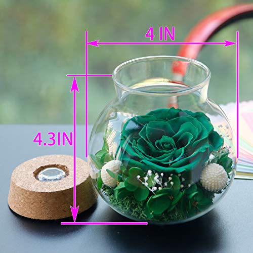 Preserved Real Roses with Colorful Mood Light Wishing Bottle,Eternal Rose，Never Withered Flowers,for Bedroom Party Table Decor, Christmas Decorations,a Gifts for Women 4.3inch1pcs (Green) - color: Green