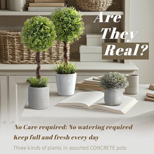 3 Pack Small Fake Plants in Farmhouse Concrete Planter, Artificial Boxwood Topiary ball Indoor for Home Decor, Small Faux Plants Indoor for Bathroom Bedroom Shelf Desk Office Table Kitchen Room Decor - color: Greener-boxwood