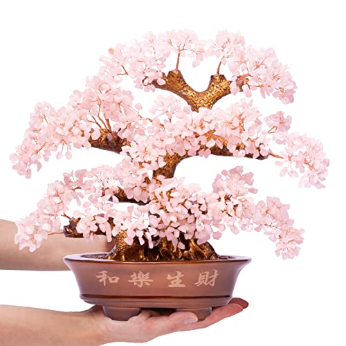 Natural Rose Quartz Tree Large,14" Chakra Crystal Tree(1,251 Gemstone Count) w/Lucky Coins Chain Healing Properties - Bonsai Feng Shui Money Tree for Love Self Care Home Office Decoration - color: Rose Quartz