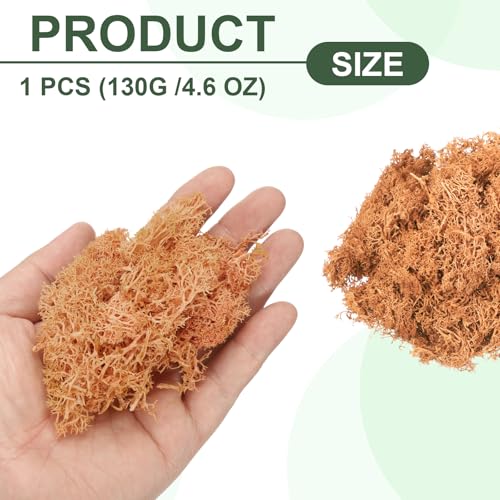 MECCANIXITY 4.6oz Preserved Reindeer Moss, Orange Decorative Artificial Fake Moss for Potted Plants Indoor Crafts Lichen Centerpieces Decor - color: Orange, size: 4.6oz