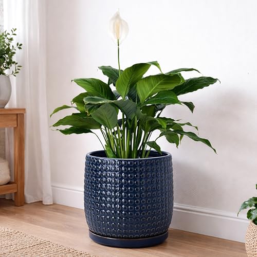 D'vine Dev 8 Inch Ceramic Beaded Stoneware Planter Pot - Flower Pot with Drainage Holes and Saucers for Indoor Succulent Plants or Flowers, Midnight Blue, 27-C-Q-3 - color: Midnight Blue, size: 8.8 Inch