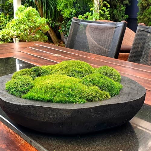 Preserved Pole Moss Pillow Bun Cushion Natural Green Decorative Real Natural Green DIY Kit Terrariums Gardenning Art Wall Decor Florist Decor Easter Table Wedding(1.5 sq.ft, Green-B) - color: Green-b, size: 1.5 sq.ft.