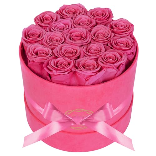 Prifroti 17 Flowers in a Velvet Pink Box, Birthday Gifts for Women, Preserved Flowers, Mothers Day Roses Gift for Mom, Pink - color: Pink | Pink Box, size: 17 Roses