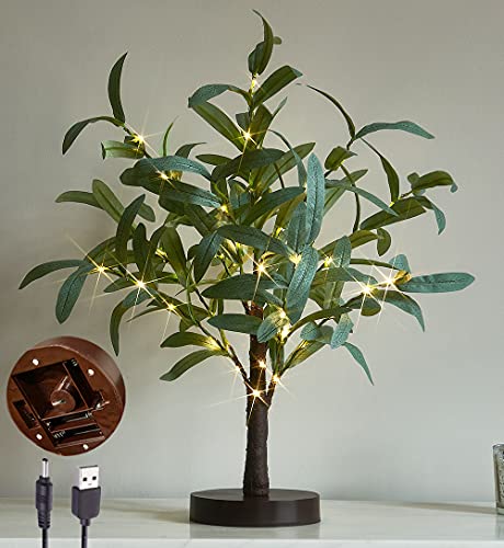 LITBLOOM Lighted Tabletop Olive Tree 18IN 50 LED Fairy Lights with Timer Battery Operated or USB Plug in Bonsai Tree for Wedding Christmas Spring Home Decoration - color: Olive