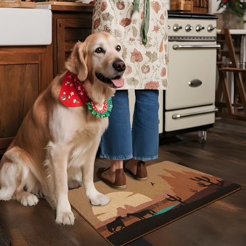 Western Cactus Door Mat, Boho Western Doormat, Sun Desert Landscape Welcome Front Door Mat Indoor Outdoor Entrance, Rustic Artificial Coir Doormats for Porch Patio Entryway Home Decor 30x17in - color: Cactus