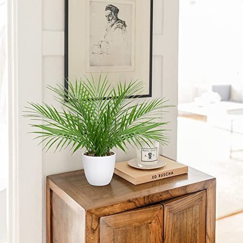 Briful Fake Plant 15’’ Artificial Palm Plant in White Pot Real Touch Faux Tropical Palm Tree Houseplant for Home Indoor Living Room Tabletop Balcony Decorations - color: White