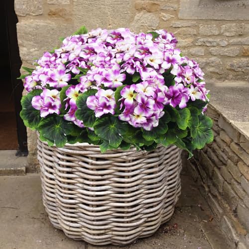2 Pcs Artificial Geraniums for Outdoors Silk Cemetery Flowers Faux Geraniums Flowers for Planter Outdoor Garden Patio Grave Cemetary Vase Centerpiece Indoor Porch Decor Gradient Purple - color: Purple
