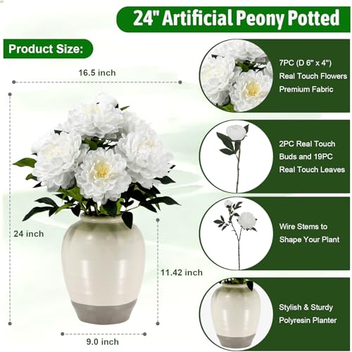 Fake Peonies Plant 24" Tall, Realistic Touch Leaves, Potted Peony Artificial Plants Indoor for Home Decor Small Office Home Living Room-White - size: 24 Inch Peonies White