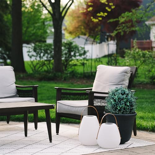 BOTARO TRESIL Set of 2 - Pre-Potted 24" High Ball Shaped Boxwood Topiary- 16" Diameter - Plastic Pot - size: 23"