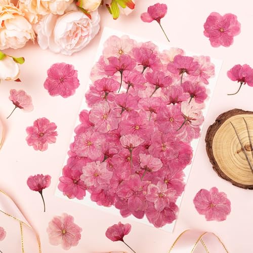 101 PCS Pressed Cherry Blossom for Crafts, Pink Dried Pressed Flowers for Resin DIY Jewelry Making Cake Card Scrapbook Decor, Dried Sakura Flowers for Soap Candle Making - size: Cherry