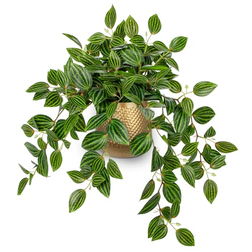 Briful Faux Plants Indoor 17.7in Fake Watermelon Peperomia Plant in Gold Pot with Realistic Silk Green Leaves Artificial Potted Plant for Home Office Table Shelf Desk Modern Room Decor - color: Watermelon Peperomia-gold Pot